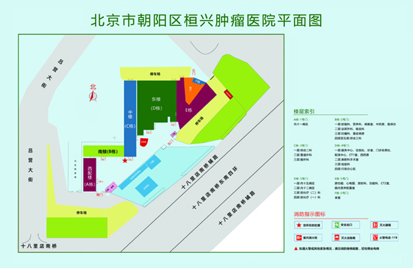 日大b免费视频北京市朝阳区桓兴肿瘤医院平面图